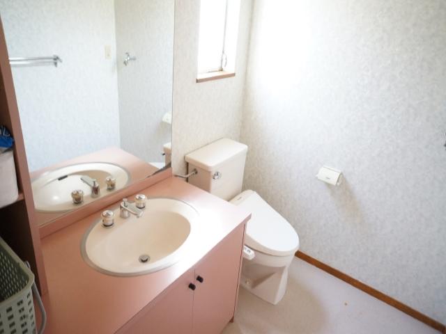 Toilet. Wash basin is also pink!