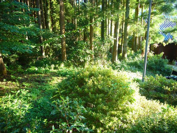 View photos from the dwelling unit. Quiet, surrounded by green "Sunny Park subdivision"