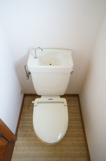 Toilet. Is beautiful! ! !