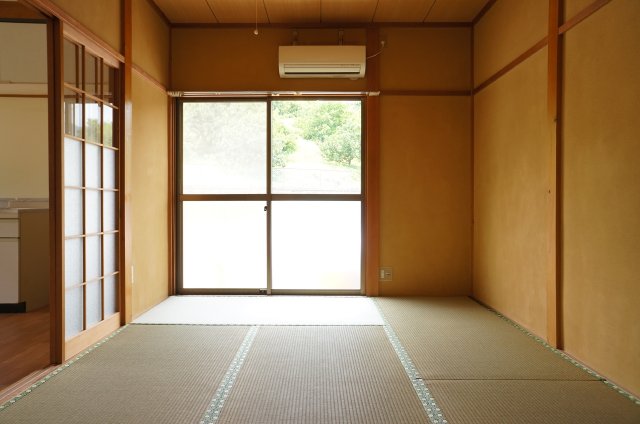 Living and room. Tatami is beautiful!