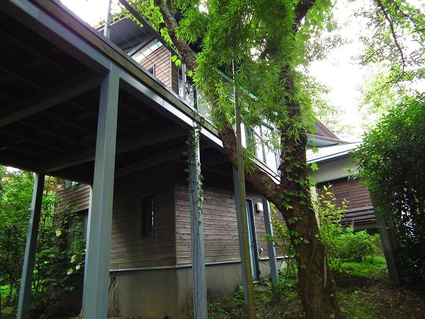 Local appearance photo. Although around is about 100 square meters more than the subdivision, Here use the grounds of the two-compartment minutes, South side of the garden is free to arrange.  