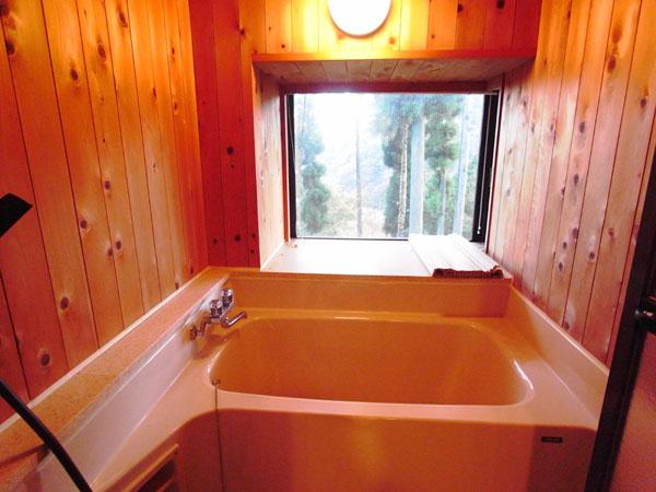 Bathroom. Bathroom is. Outside the window is healed heart in green.