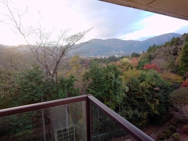 View photos from the dwelling unit. Spread before rich natural landscape of the eye.