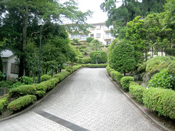 Other local. Approach to the apartment