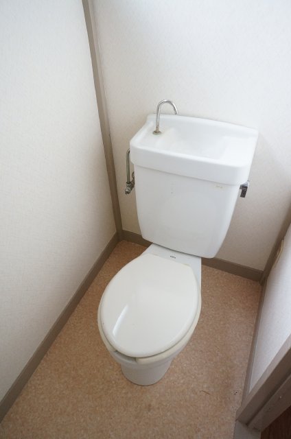 Toilet. There is a window is bright! 