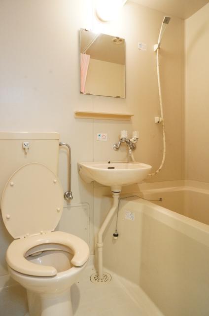 Toilet. It is just looks good even this if living alone! 
