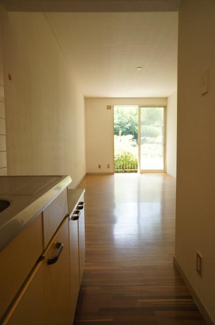 Entrance. Light insert to the door!