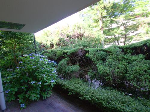 View photos from the dwelling unit. terrace