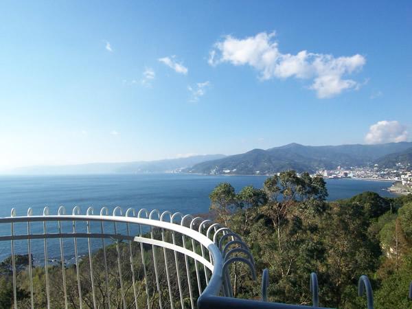 View photos from the dwelling unit. View from local