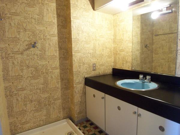 Wash basin, toilet. Interior