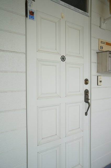 Entrance. Stylish front door