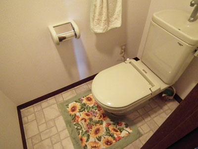 Toilet. Kitchen and toilet, etc. water around is also beautiful