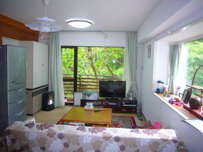 Living. But is a compact room of 1LDK, Bright lighting is attractive