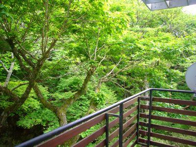 Balcony. Refreshing wind Soyogi, You hear the voice of the bird