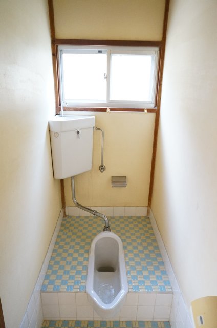 Toilet. Bright and beautiful!