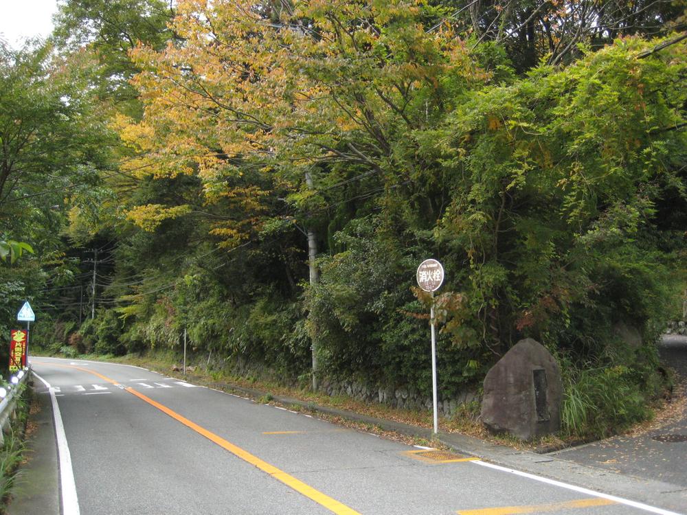 Local land photo