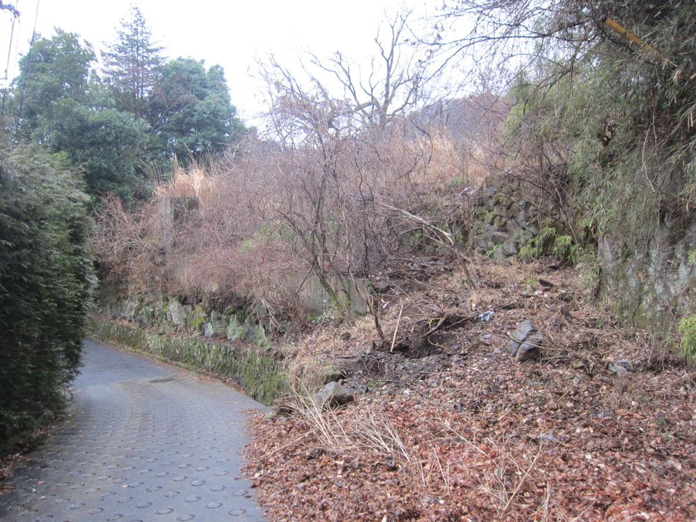 Local land photo