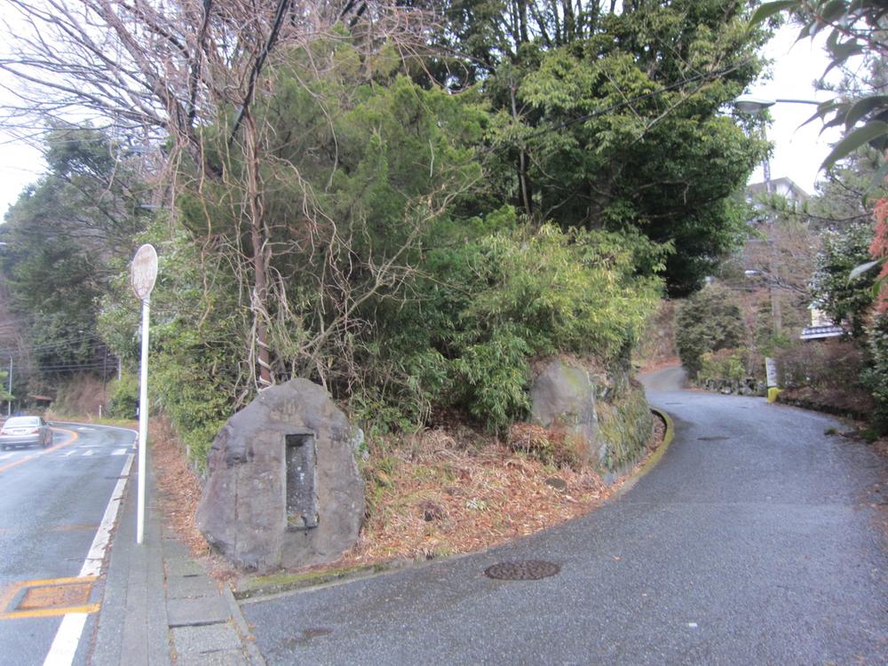 Local land photo