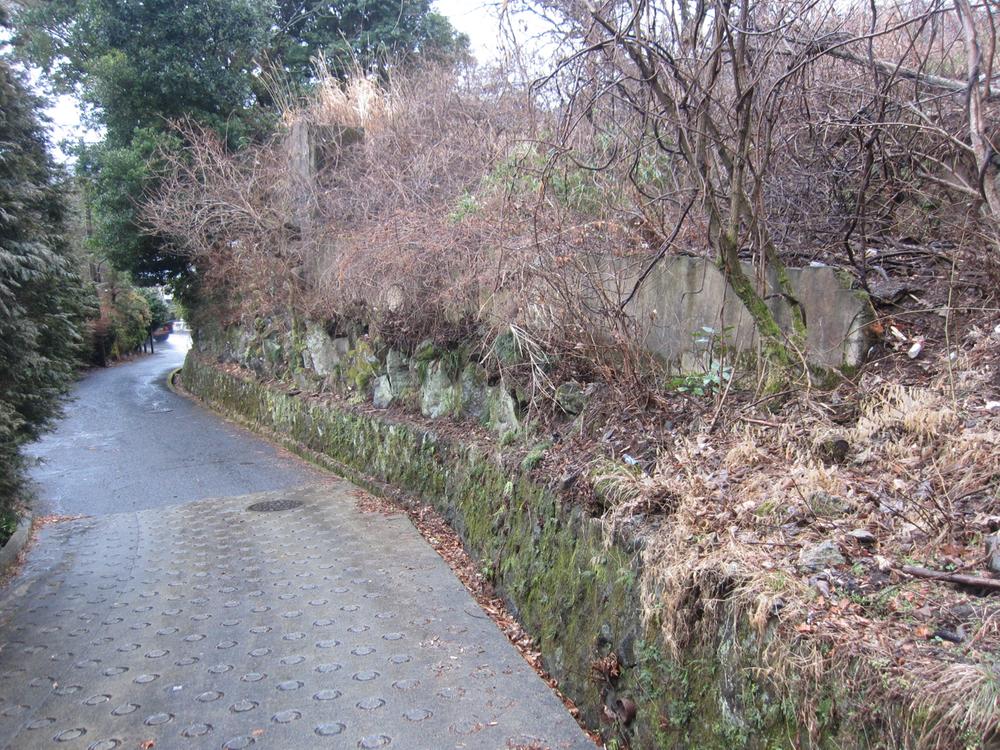 Local land photo