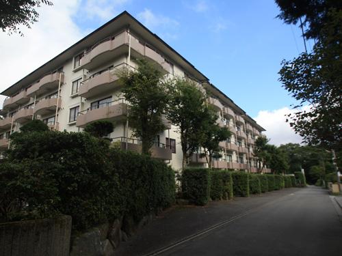 Local appearance photo. Mansion appearance