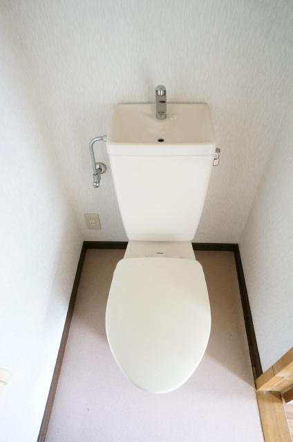 Toilet. It is very beautiful!