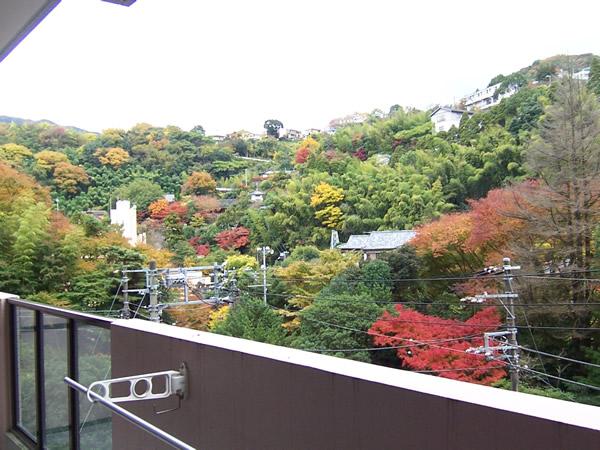 View photos from the dwelling unit. View from local