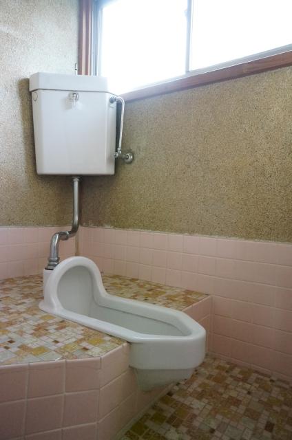 Toilet. Tile is very cute, Bright is!