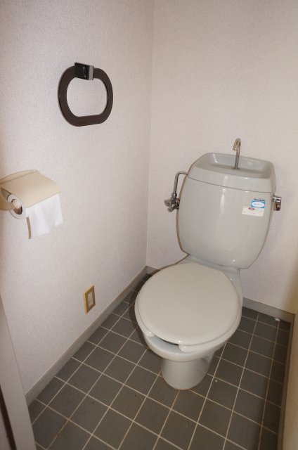 Toilet. It is simple and clean toilet!