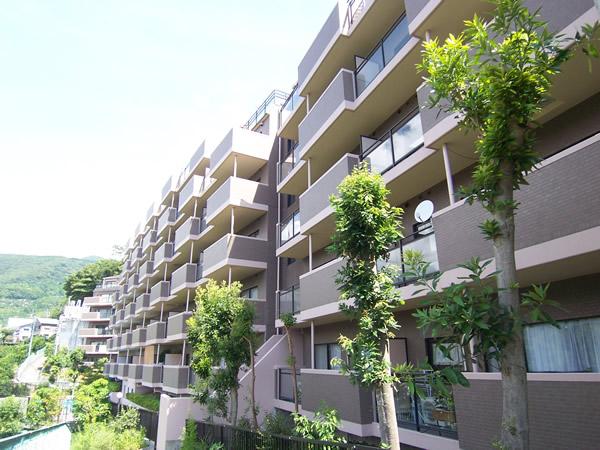 Local appearance photo. local