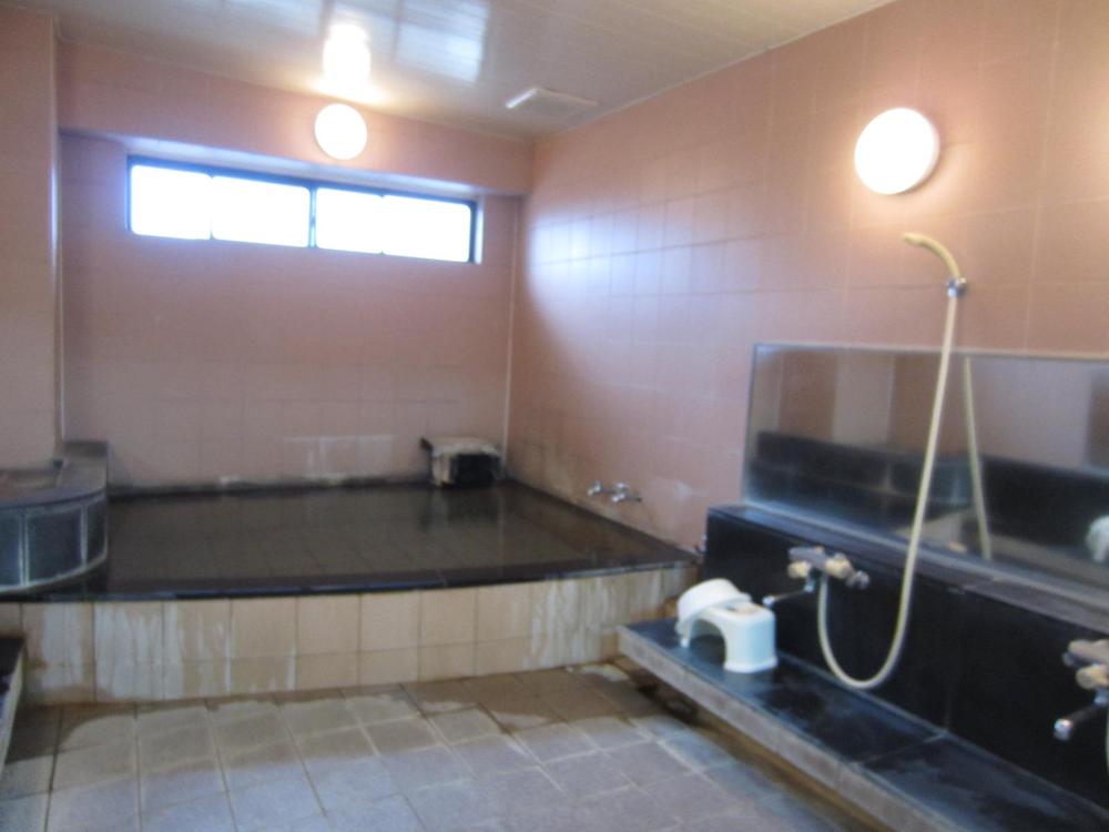 Other common areas. Hot spring bath