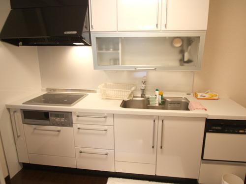 Kitchen. System kitchen