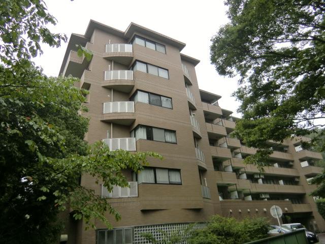 Local appearance photo. Local (12 May 2013) Shooting