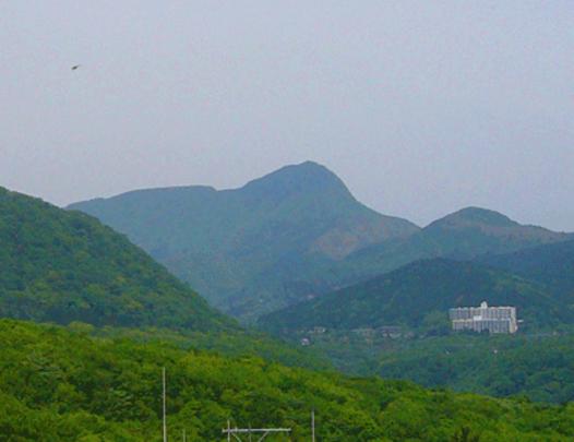 View photos from the dwelling unit. In front of Mt. and case (summer is very beautiful likely seen uppercase grilled in front)