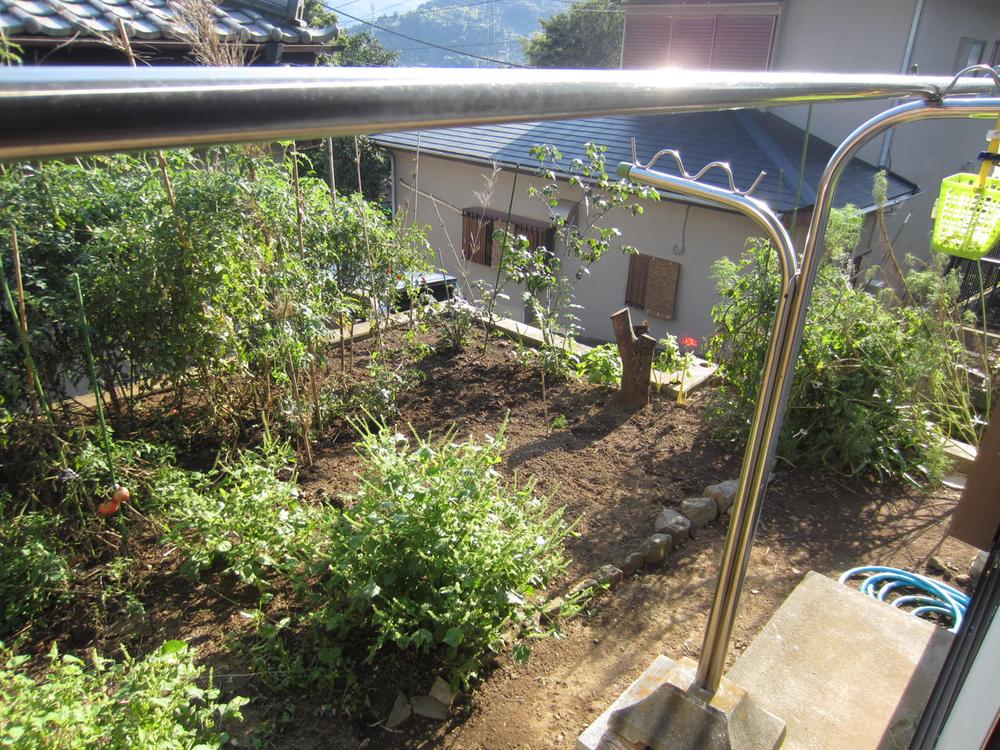 Garden. Home garden