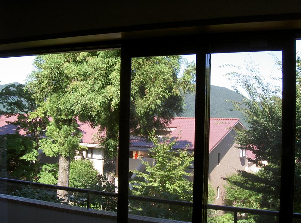 View photos from the dwelling unit. View from the dwelling unit