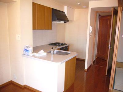 Kitchen. Compact is a good kitchen user-friendly.