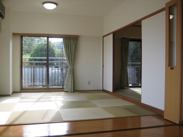 Non-living room. Indoor (12 May 2011) Shooting Japanese-style room