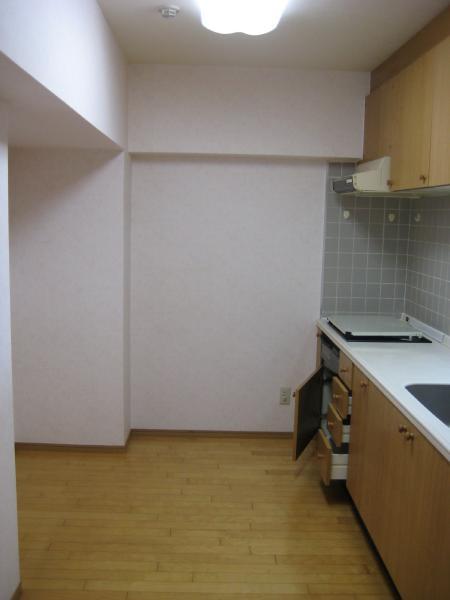 Kitchen. Indoor (12 May 2011) Shooting