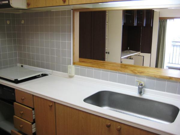 Kitchen. Indoor (12 May 2011) Shooting