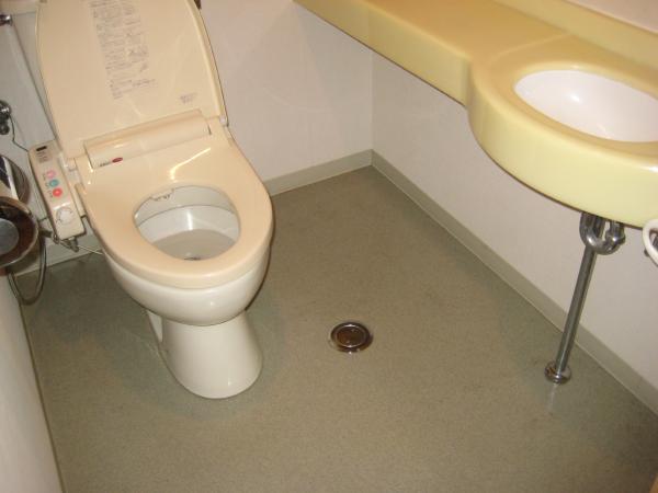 Toilet. Indoor (12 May 2011) Shooting