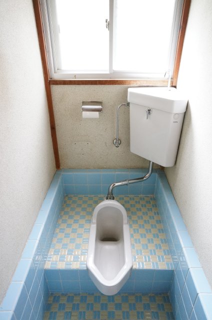 Toilet. , It is very clean and bright