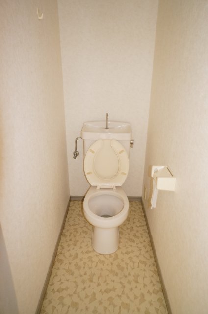Toilet. Very large!