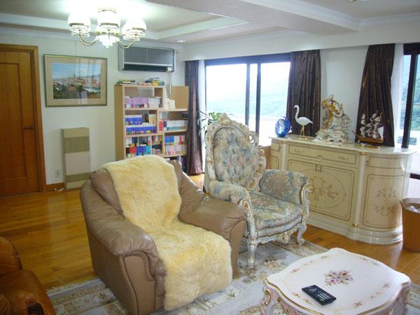 Living. Living-dining is about 17.2 tatami. It is open space.