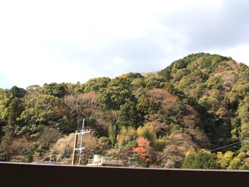 View photos from the dwelling unit