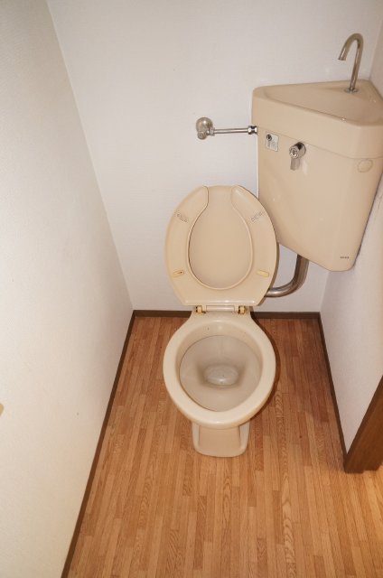 Toilet. toilet This flooring upholstery! 