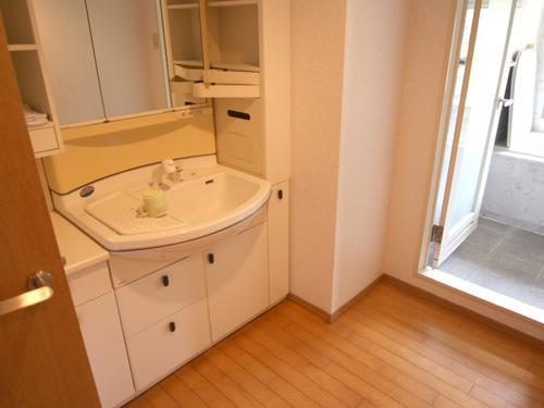 Wash basin, toilet. bathroom