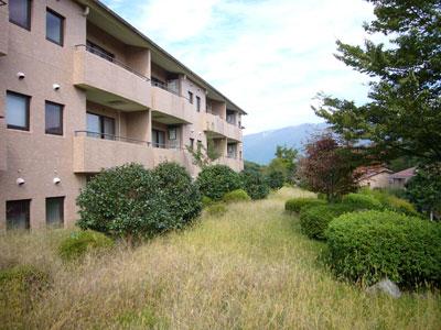 Local appearance photo. L Togaikan