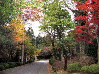 Other common areas. On-site to enjoy the four seasons
