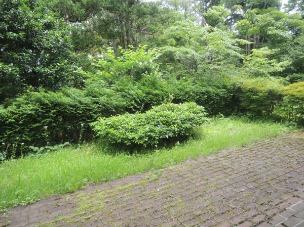 Same specifications photos (Other introspection)