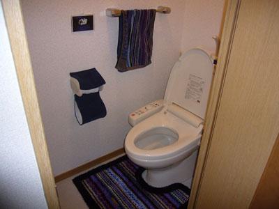 Toilet. Toilet with hot seat